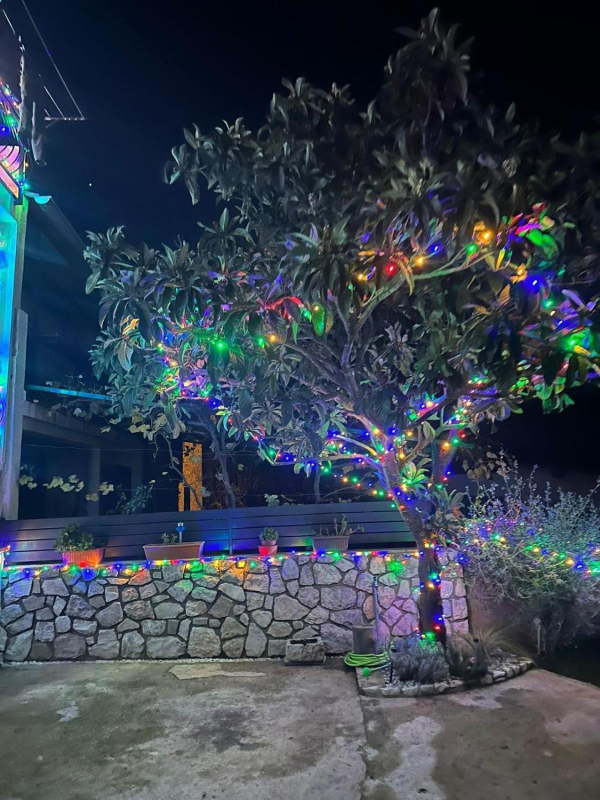 Apartment Mare Poreč Dış mekan fotoğraf